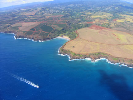  picture is the one from Fantasy Island where Tattoo waves at the plane, 